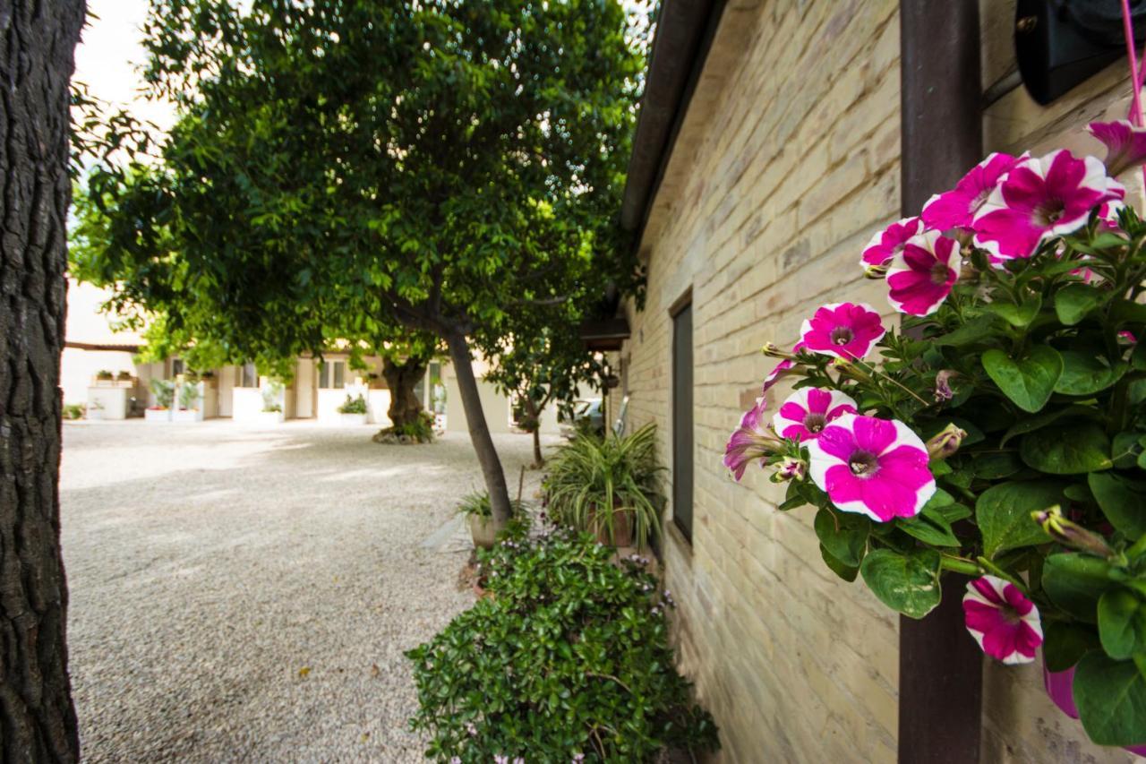 Il Gelso Di Sofia B&B Tortoreto Luaran gambar